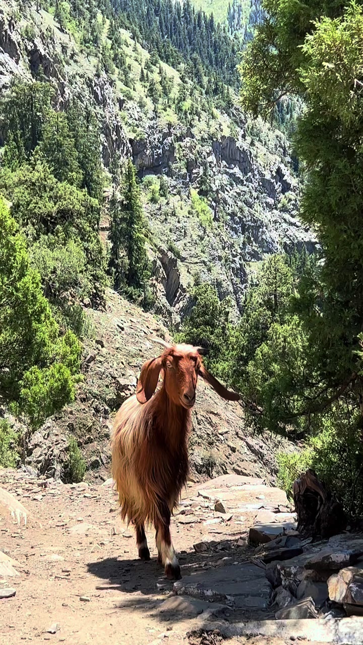 @Discover North Pakistan