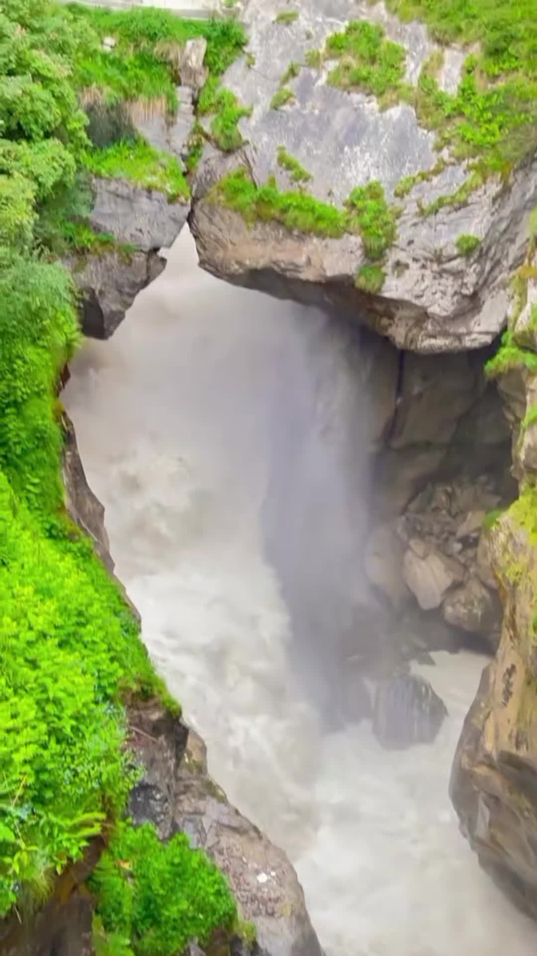 @MOHAKAL