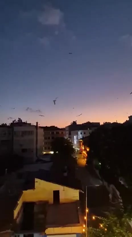 @Gül_yılmaz