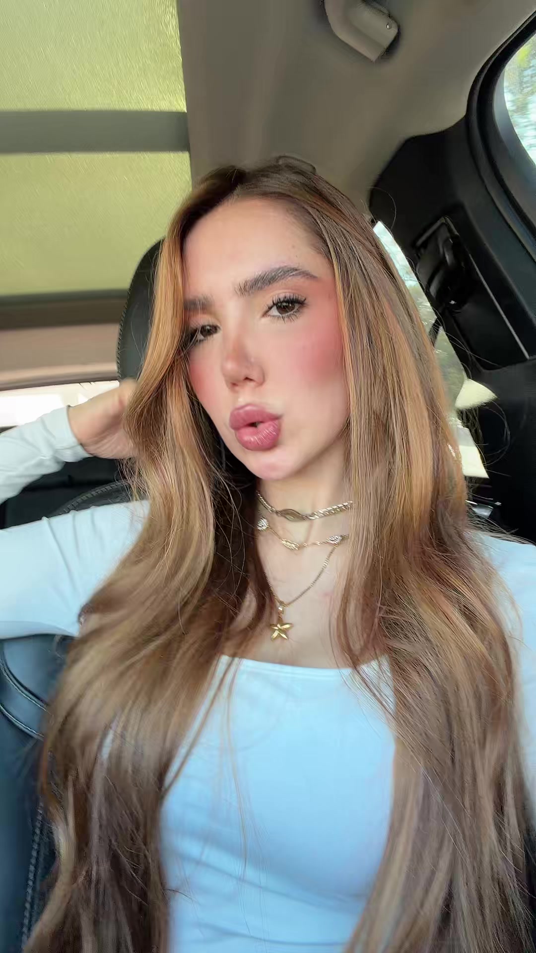 @Sofia Palharin🐺
