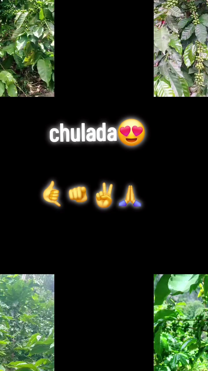 @mi shaparritha toxica❤️&zwj;🩹🫶🏻