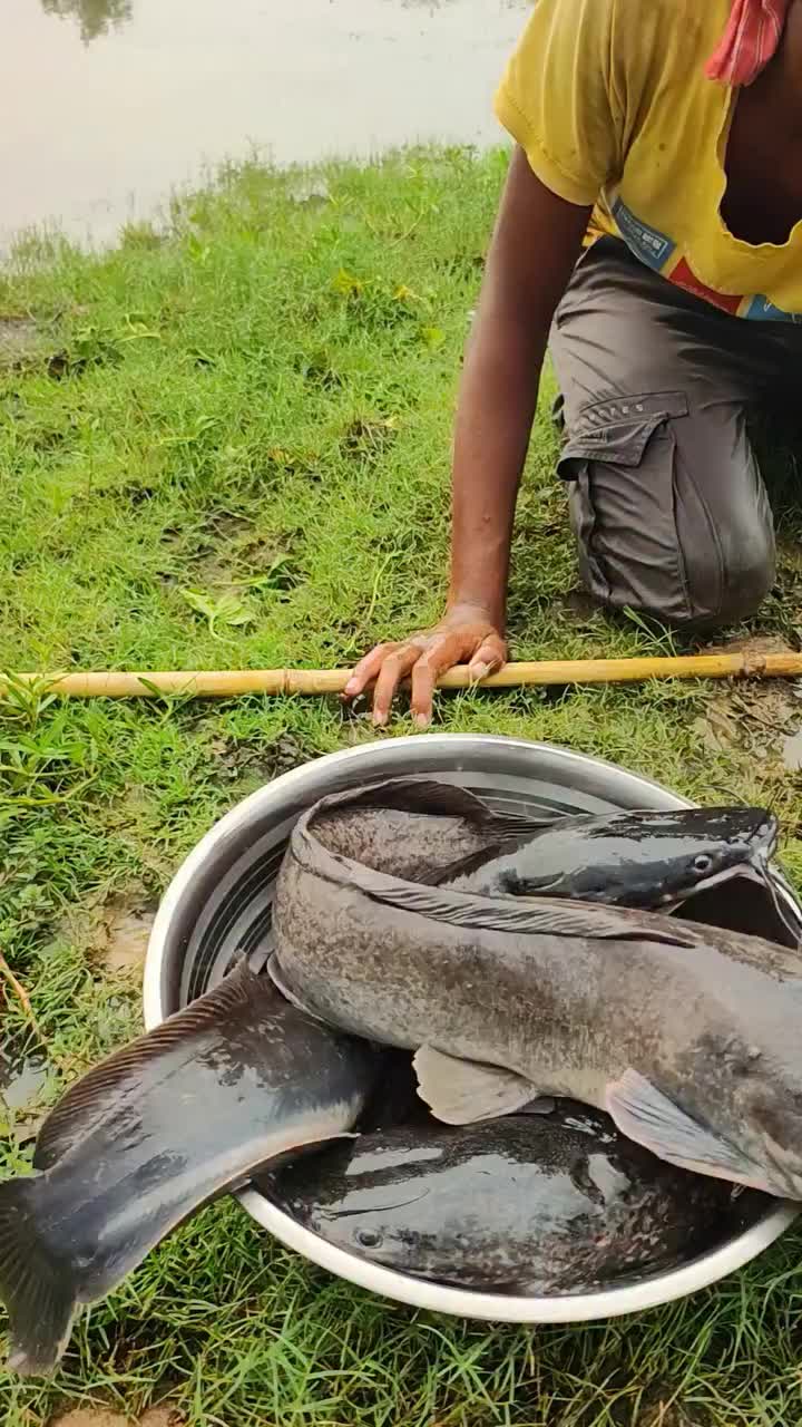 @Fishing