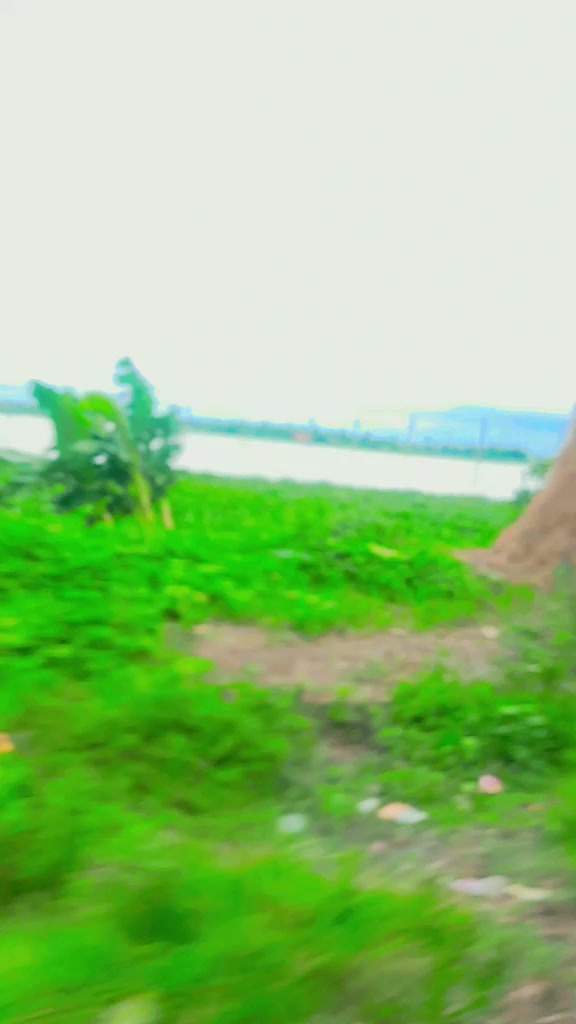 @জান্নাতুল ফেরদৌস
