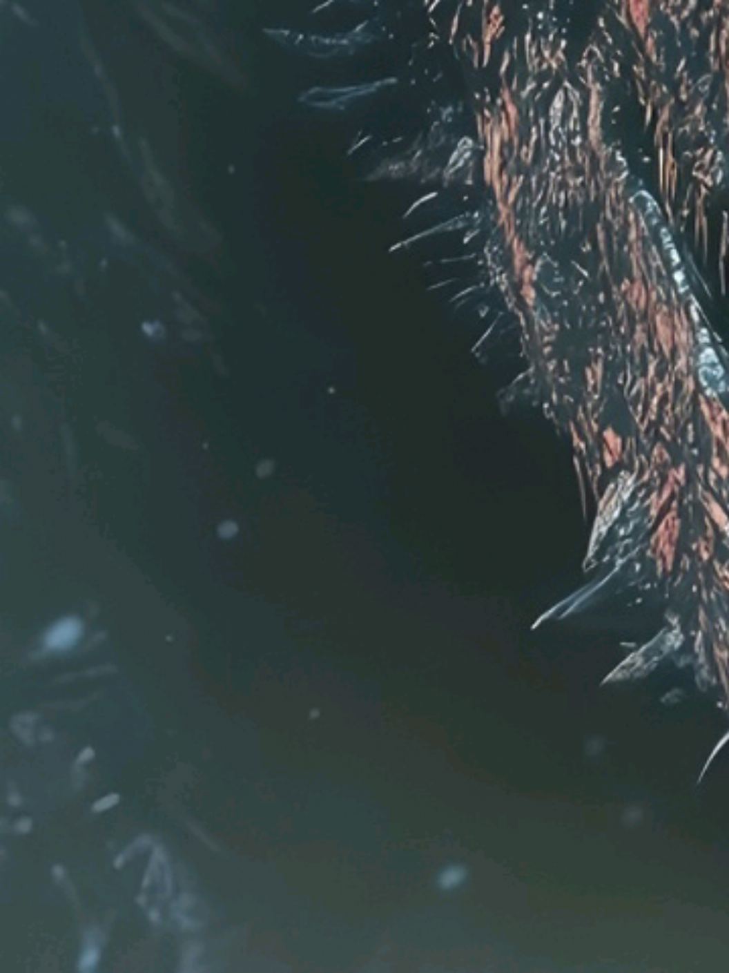 @𝐘 𝐚 𝐳 𝐳 𝐲 🕸