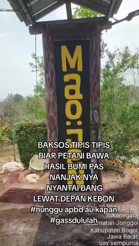 @Dr. MAO