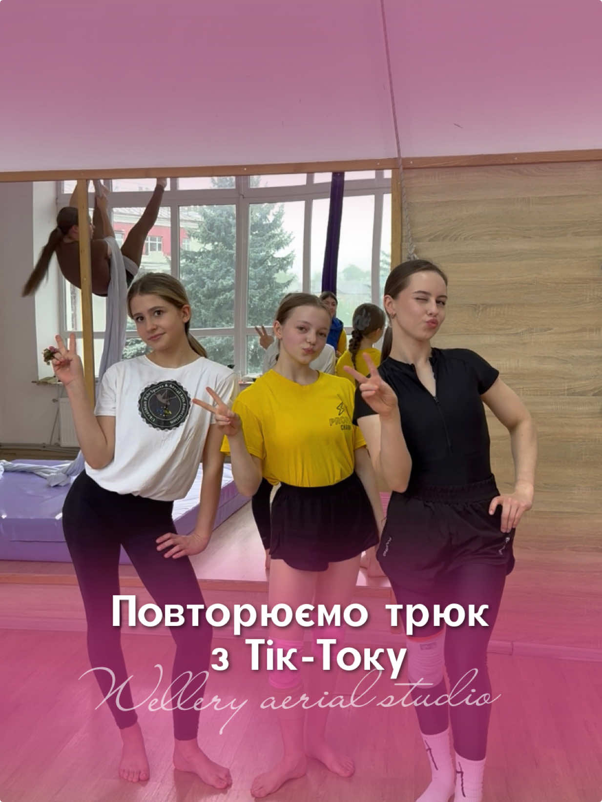 @Wellery Aerial Studio 🌸