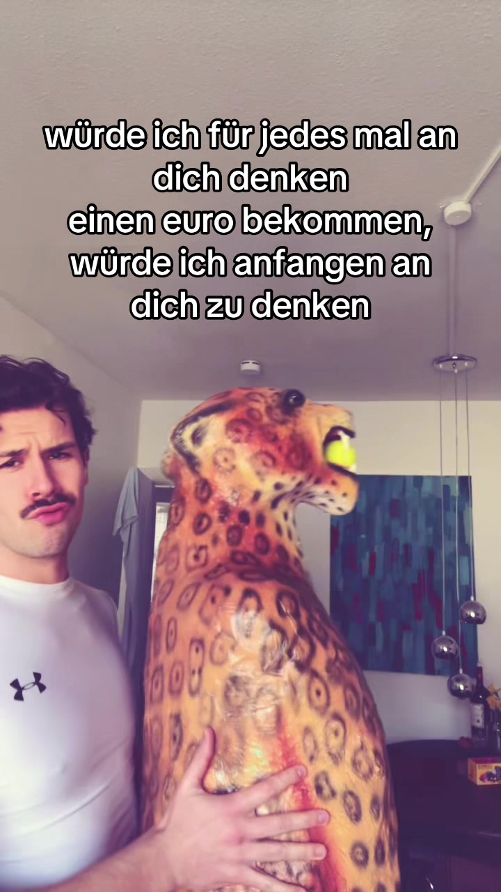 @flipsegeiss