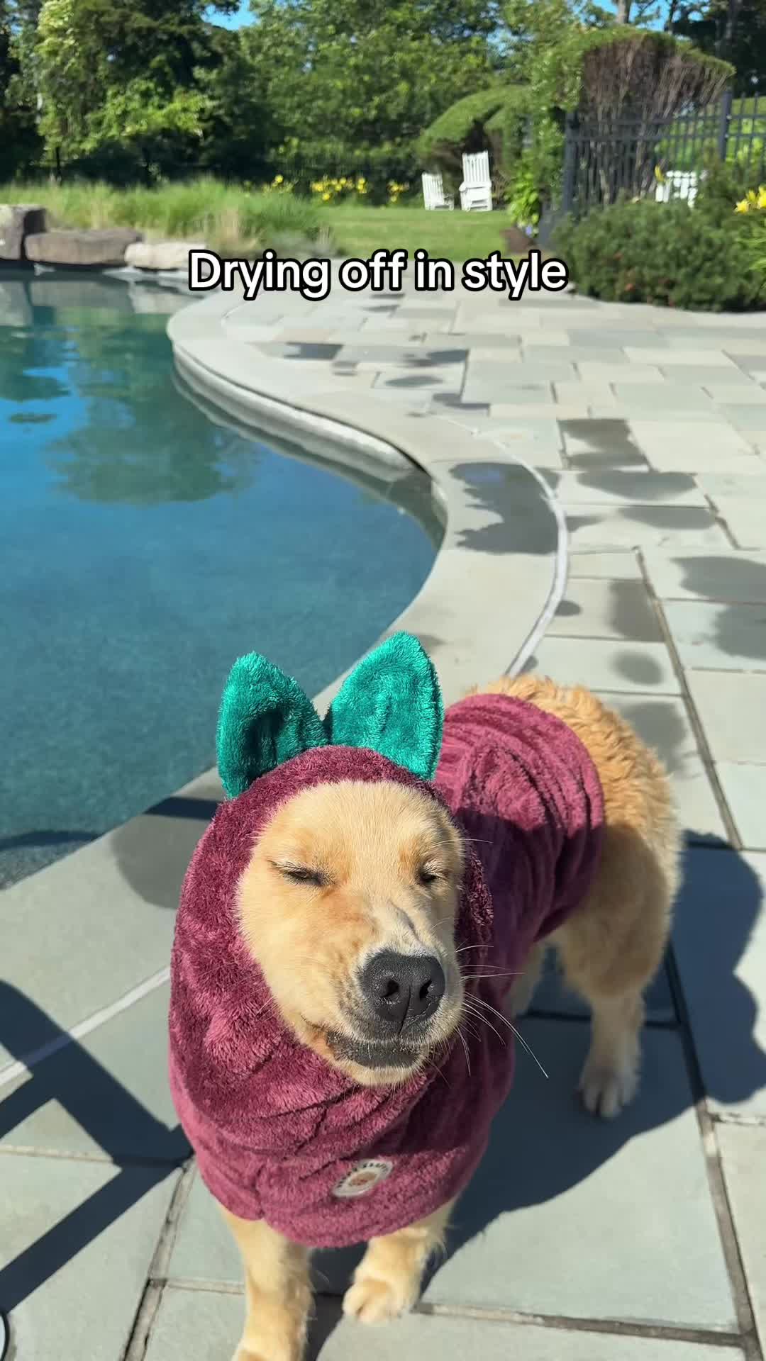 @Winter the Golden