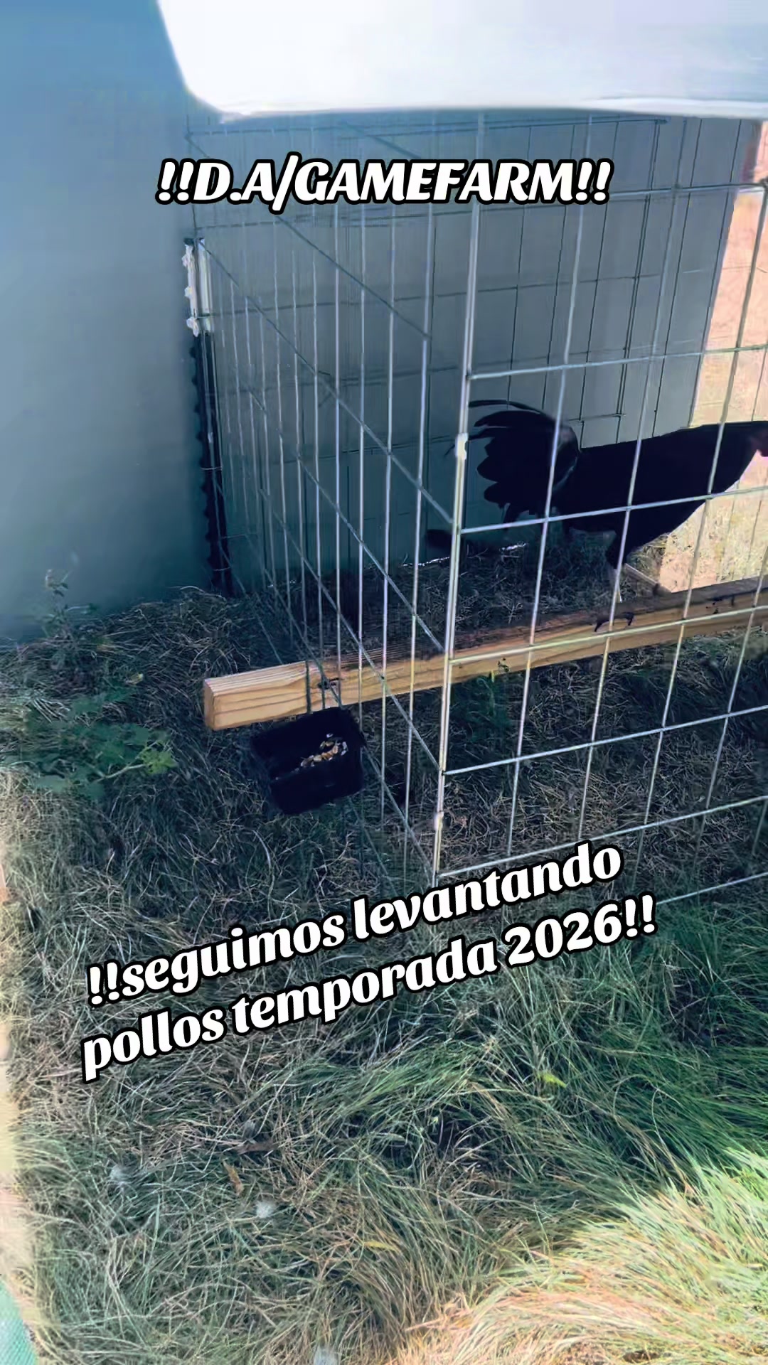 @DAgamefarm