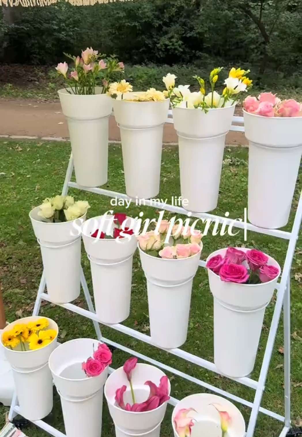 @𝒪𝓁𝒾𝓋𝒾𝒶
