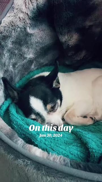 @โจ ๐๐ธ๐ท๐๐ช โจ