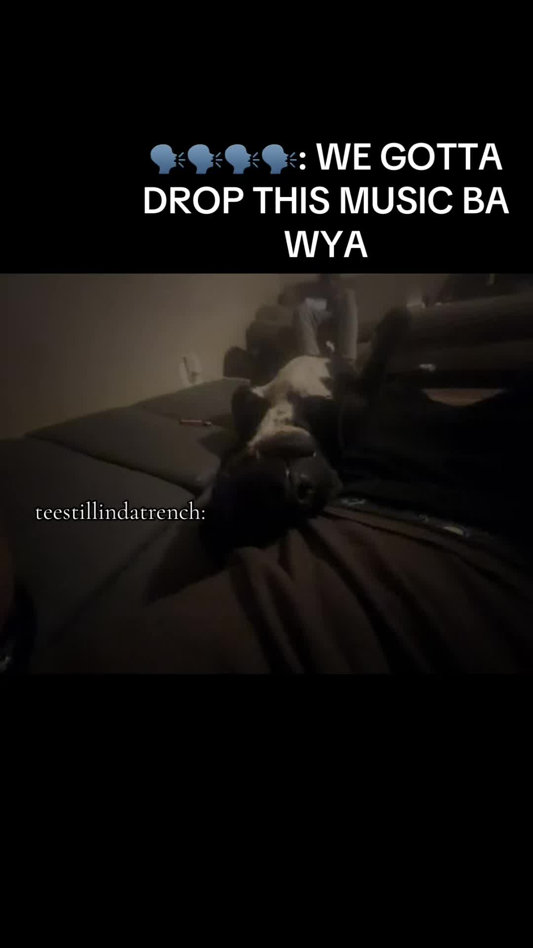 @teestillindatrench
