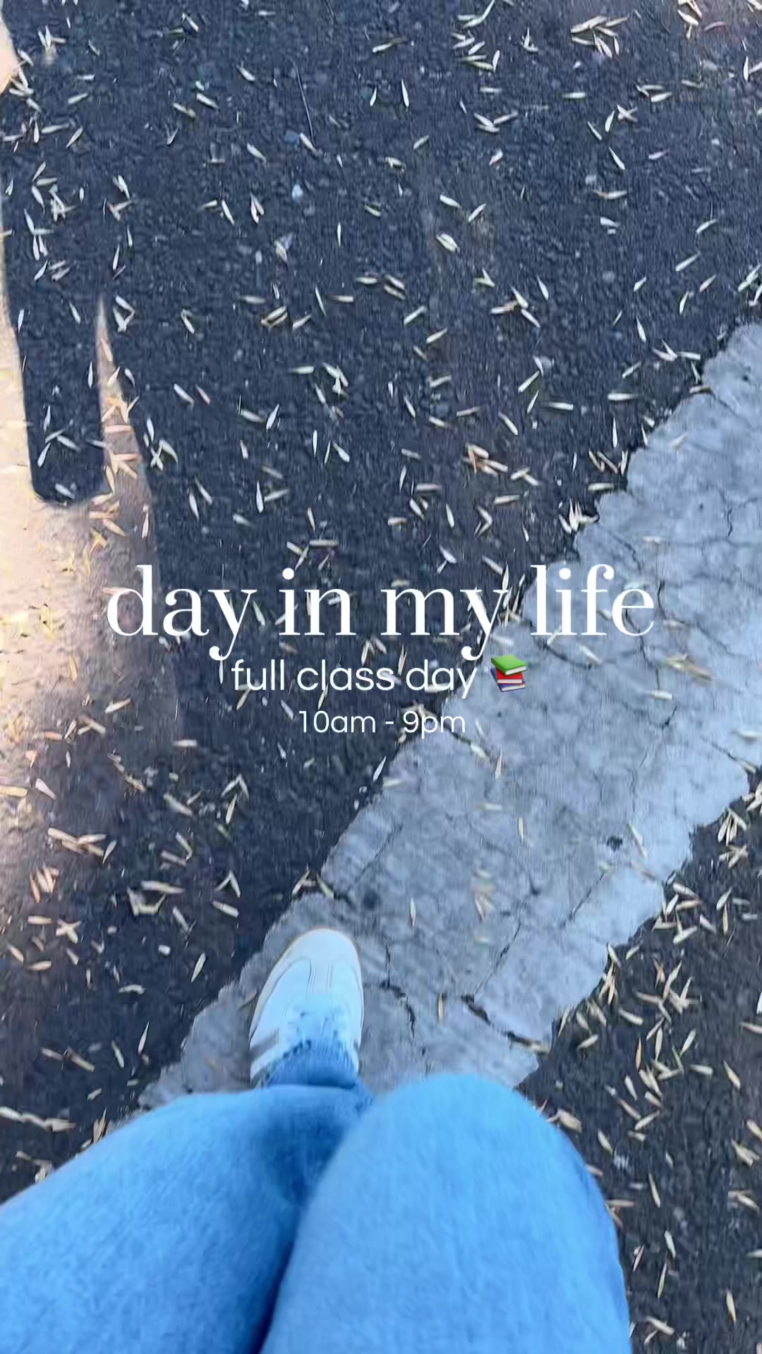 @alyssa j🦋