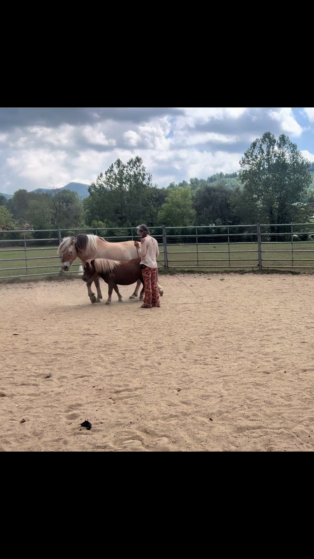 @Janet..Fuzzy.farm.gang