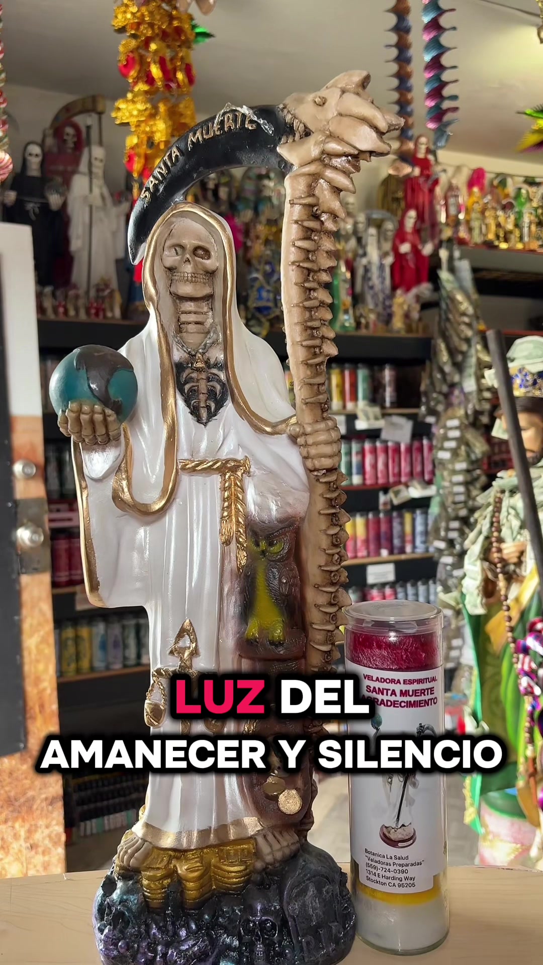 @Botanica La Salud