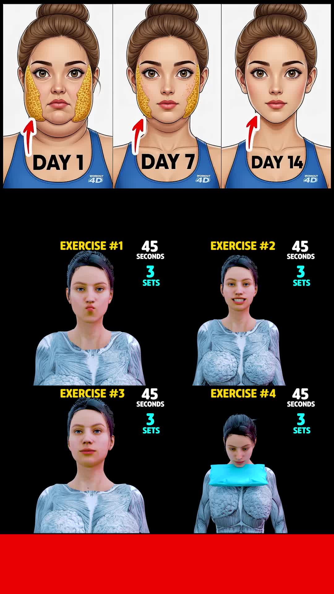 @Workout 4D Official
