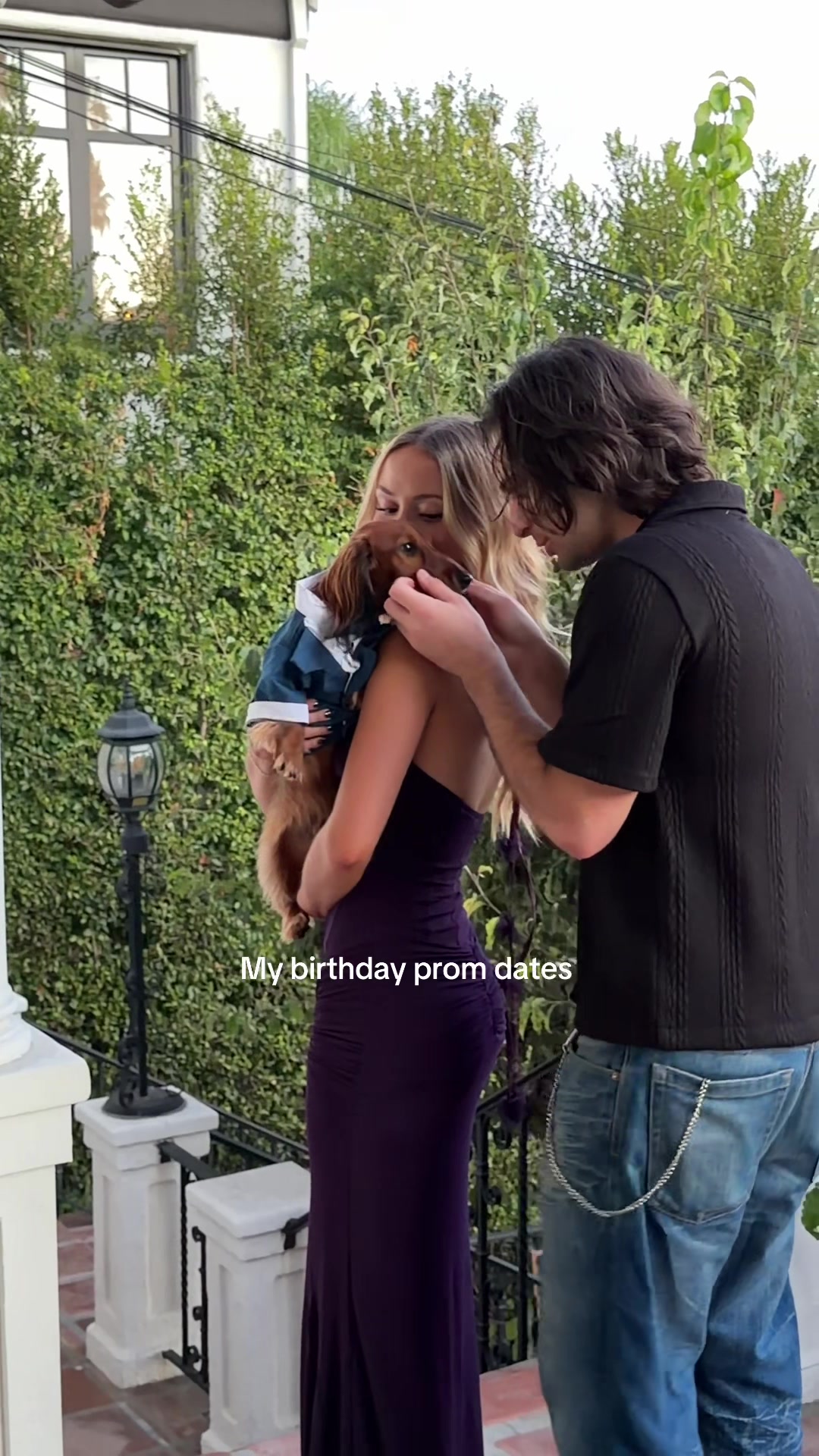 @lexipalomarosa