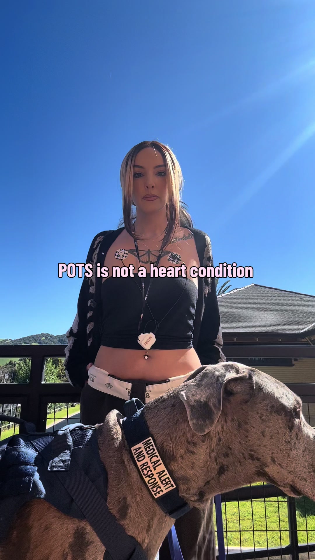 @lex 🐺⛓️