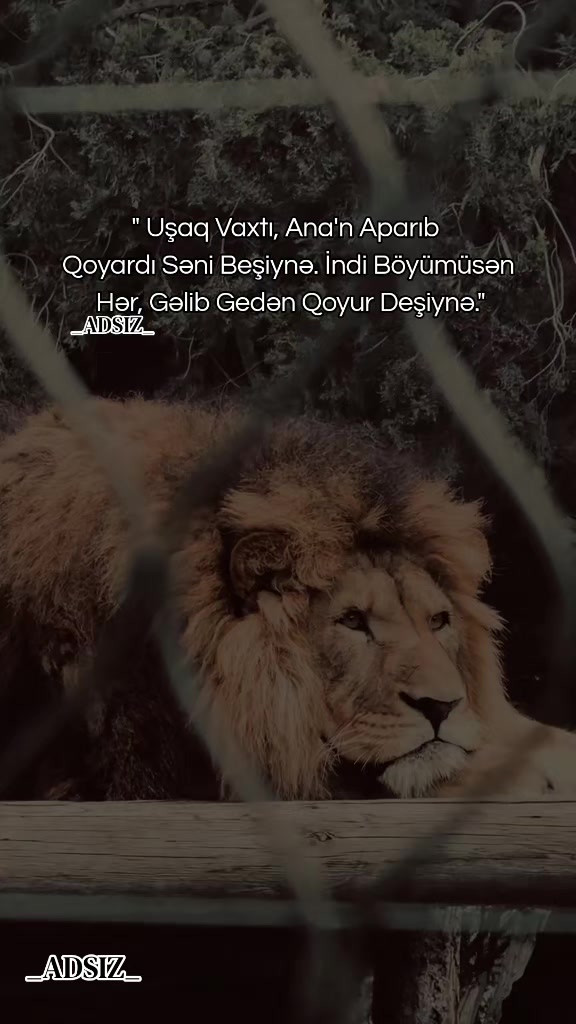 @_ADSIZ_
