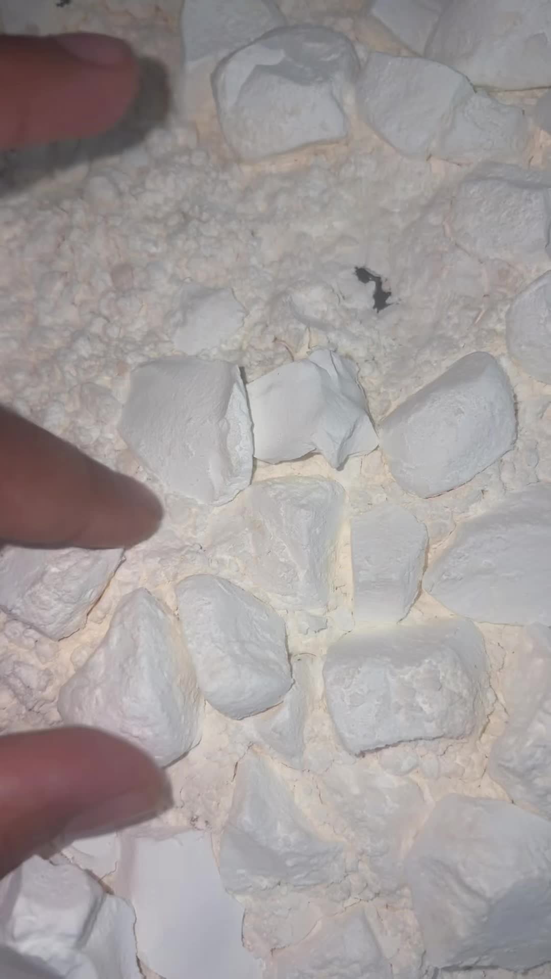@CRUNCHCULTURE