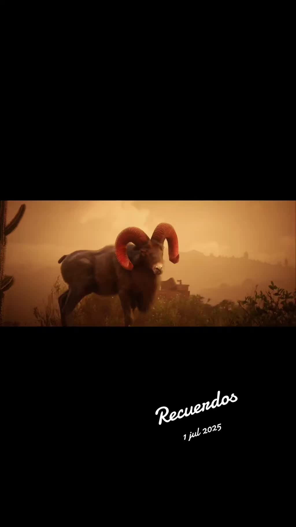 @Ricardo Miranda