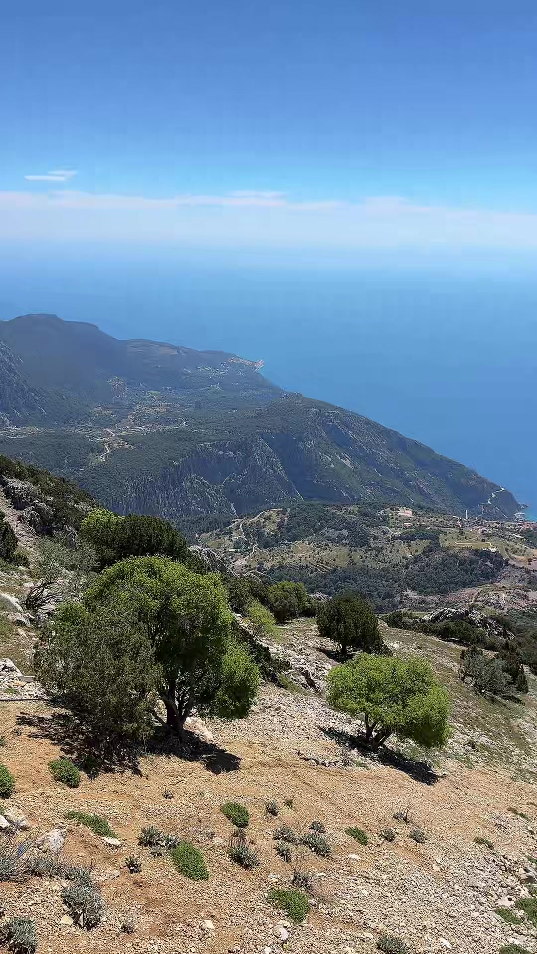 @Ali Rıza &ccedil;akal