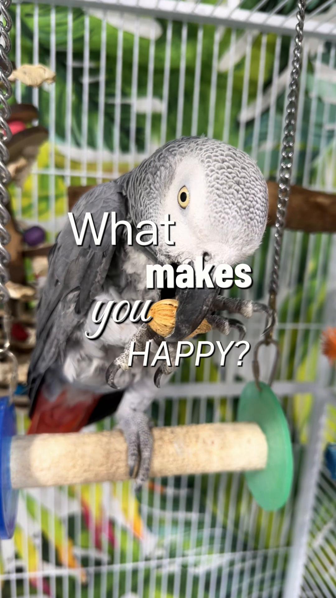 @CrystalParrot🦜💜🦜🍪🍨