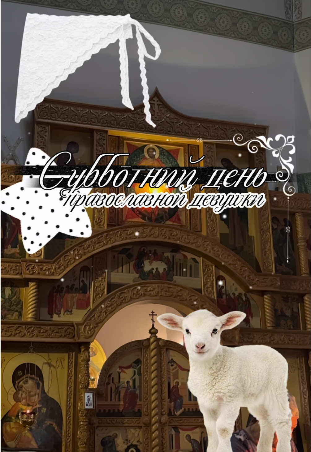 @Дарьюшка🕊️✨