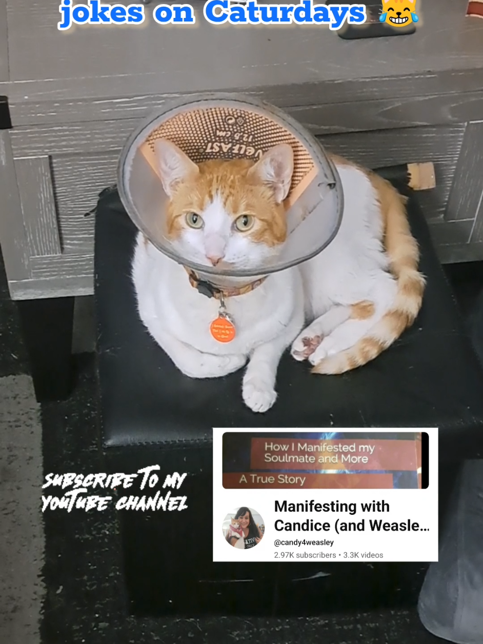 @Candice & Weasley