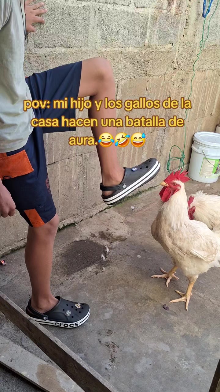 @Lorens prado