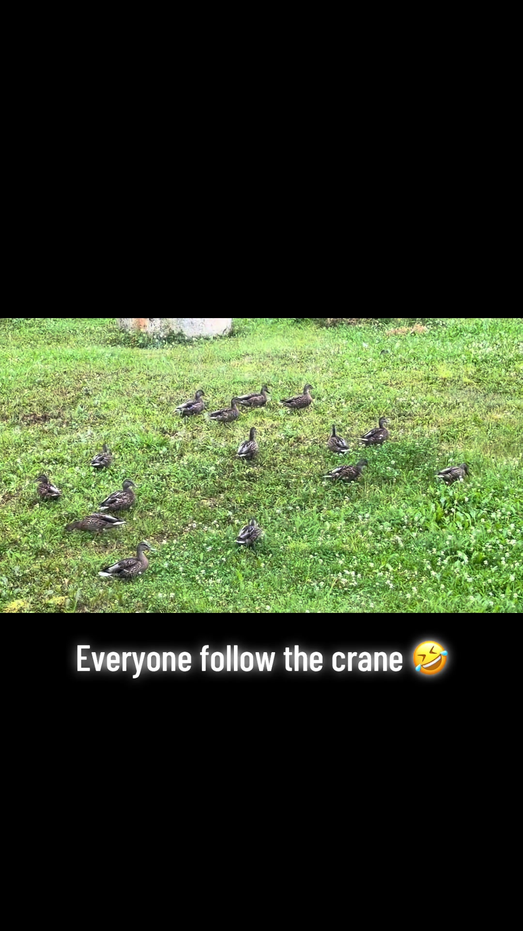 @AngieSmith