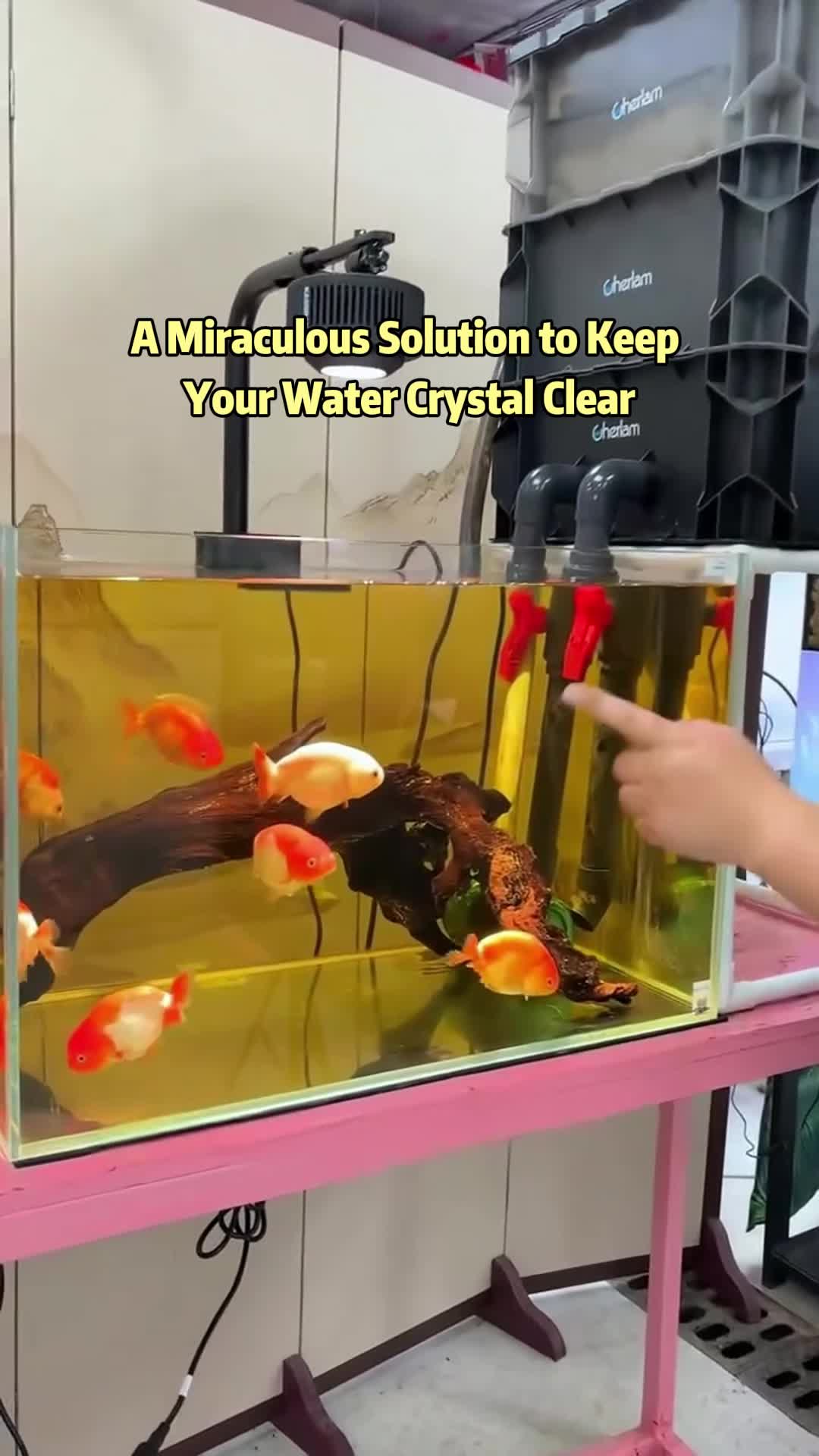 @AquaBunny