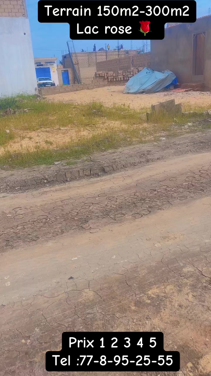 @S&eacute;n&eacute;gal dakar habitat 🇸🇳