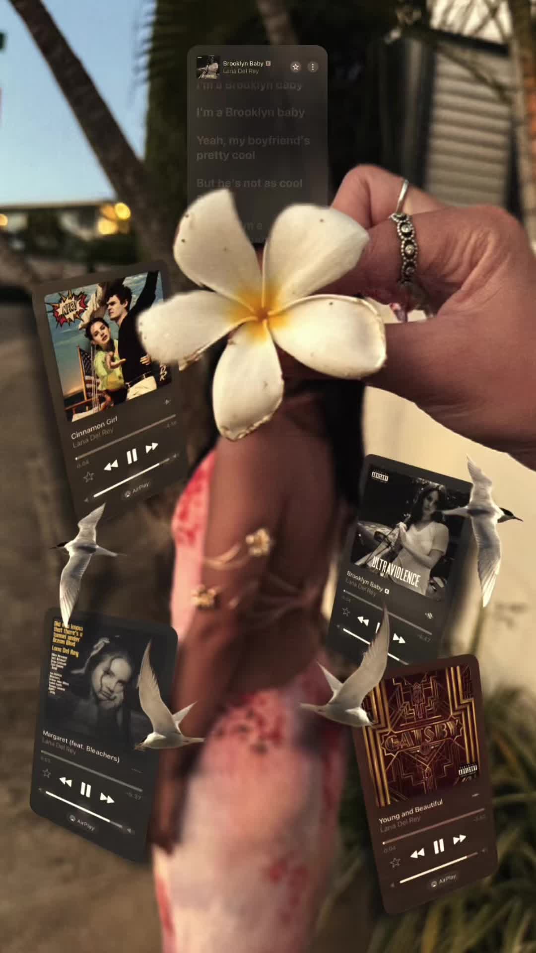 @isaaaa