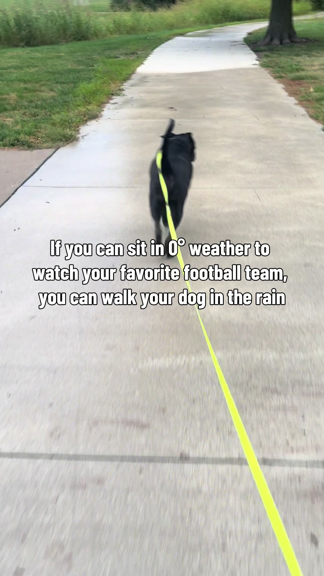 @Sammy | Dog Trainer