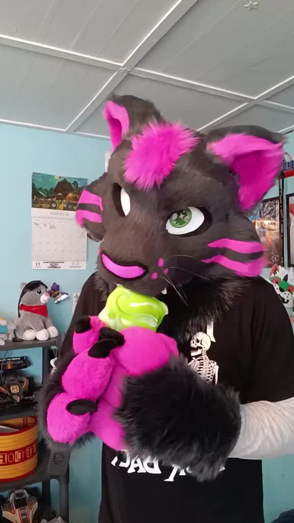 @dingbat 🐾 mew,mew 🐾