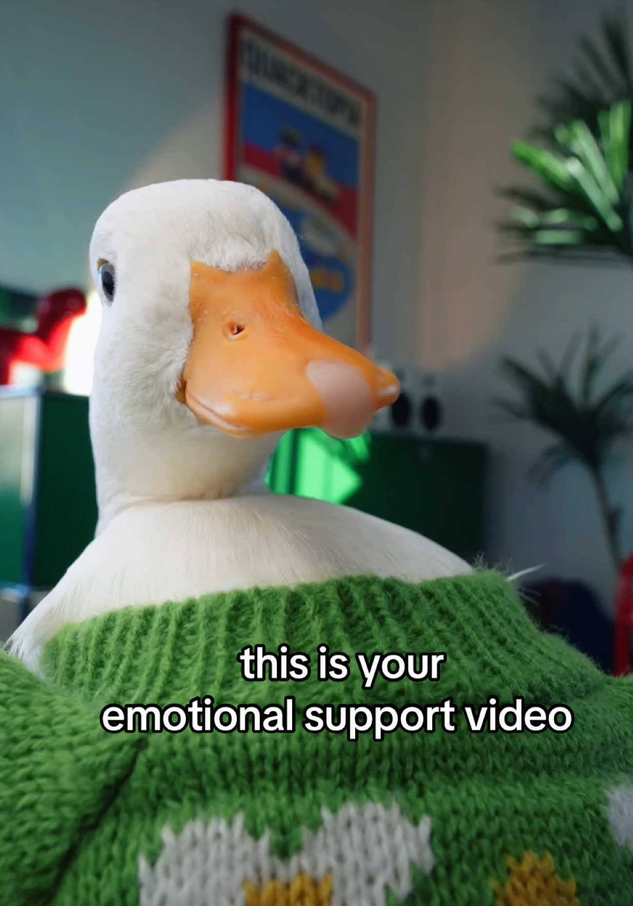 @ducks_in_space🪿🪿💦