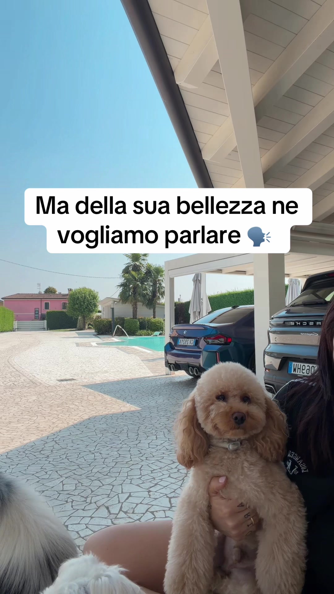 @Annalisa ❤️