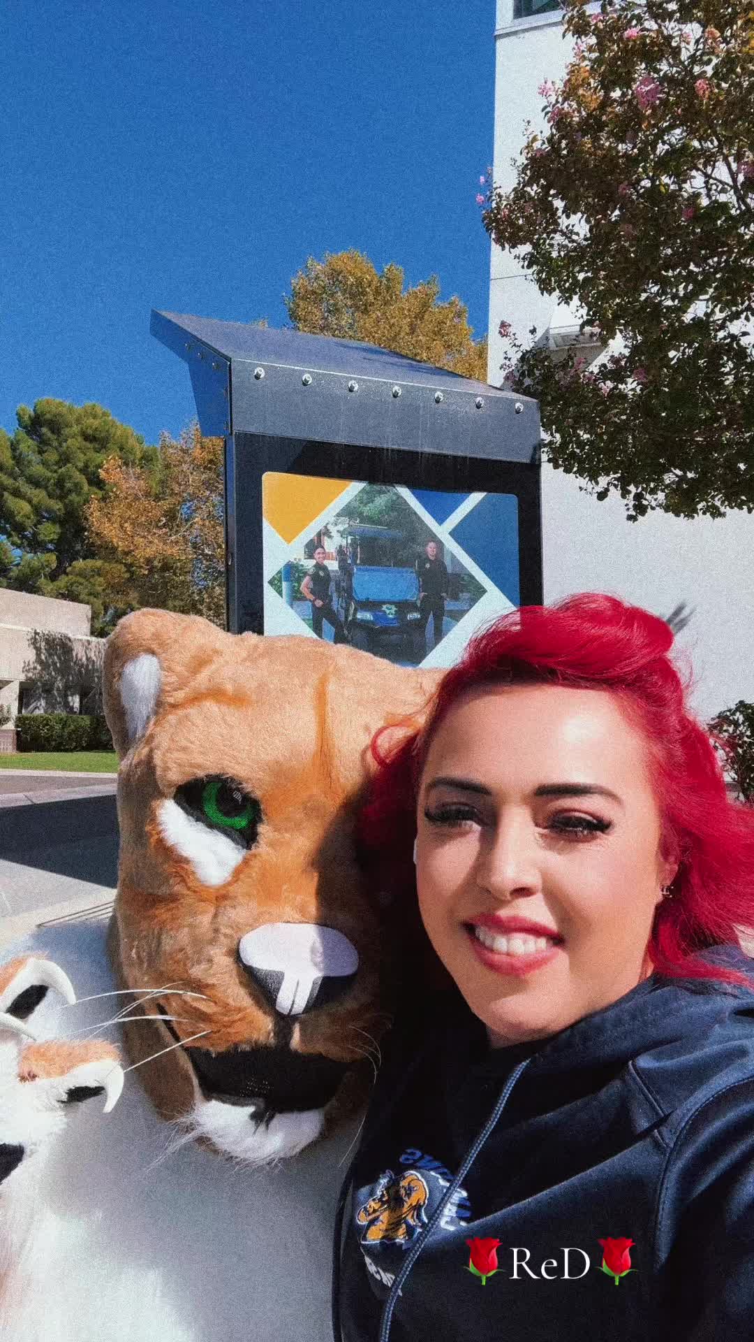 @🌹 ReD 🌹