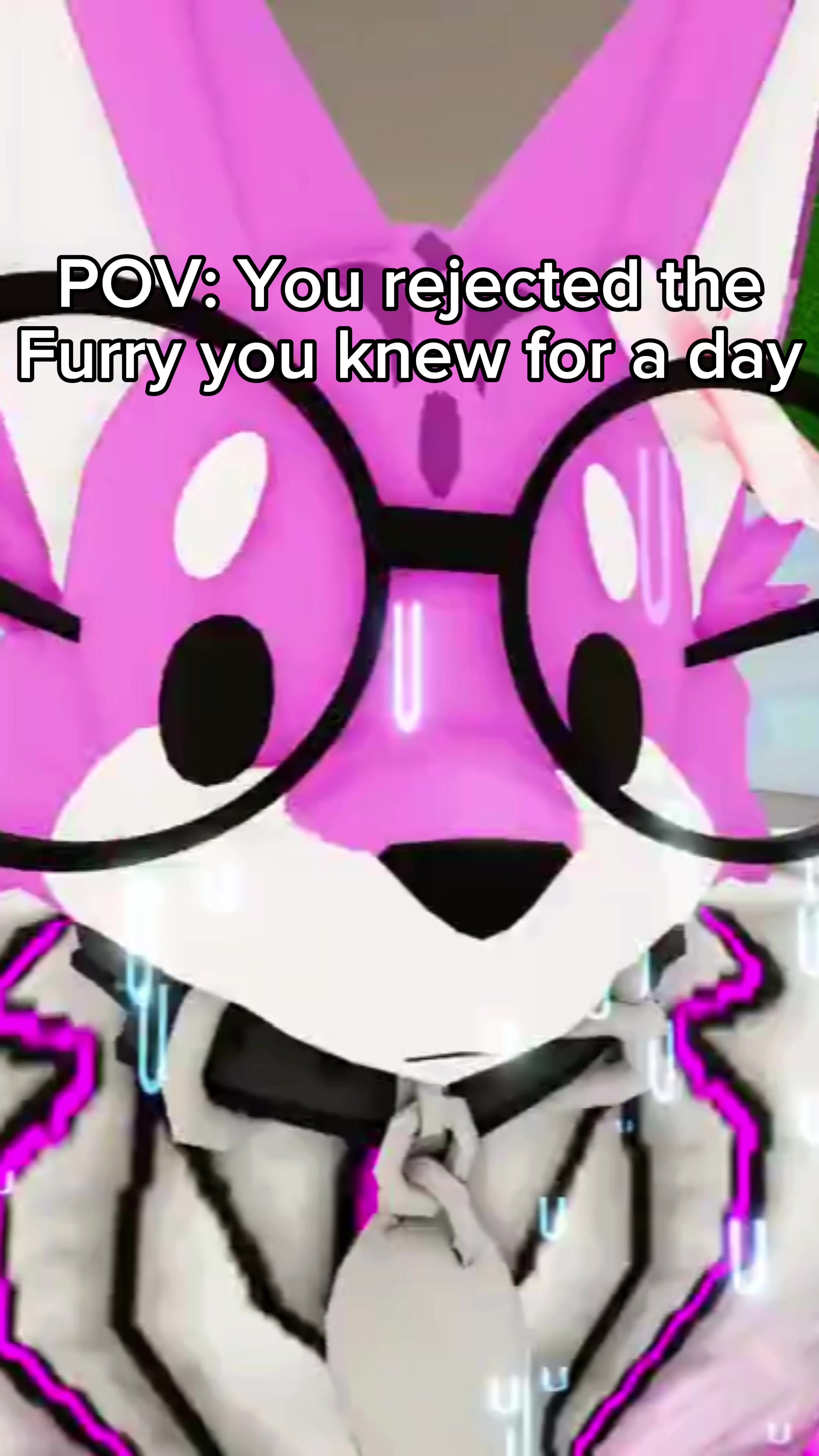 @🦊Vixy🦊