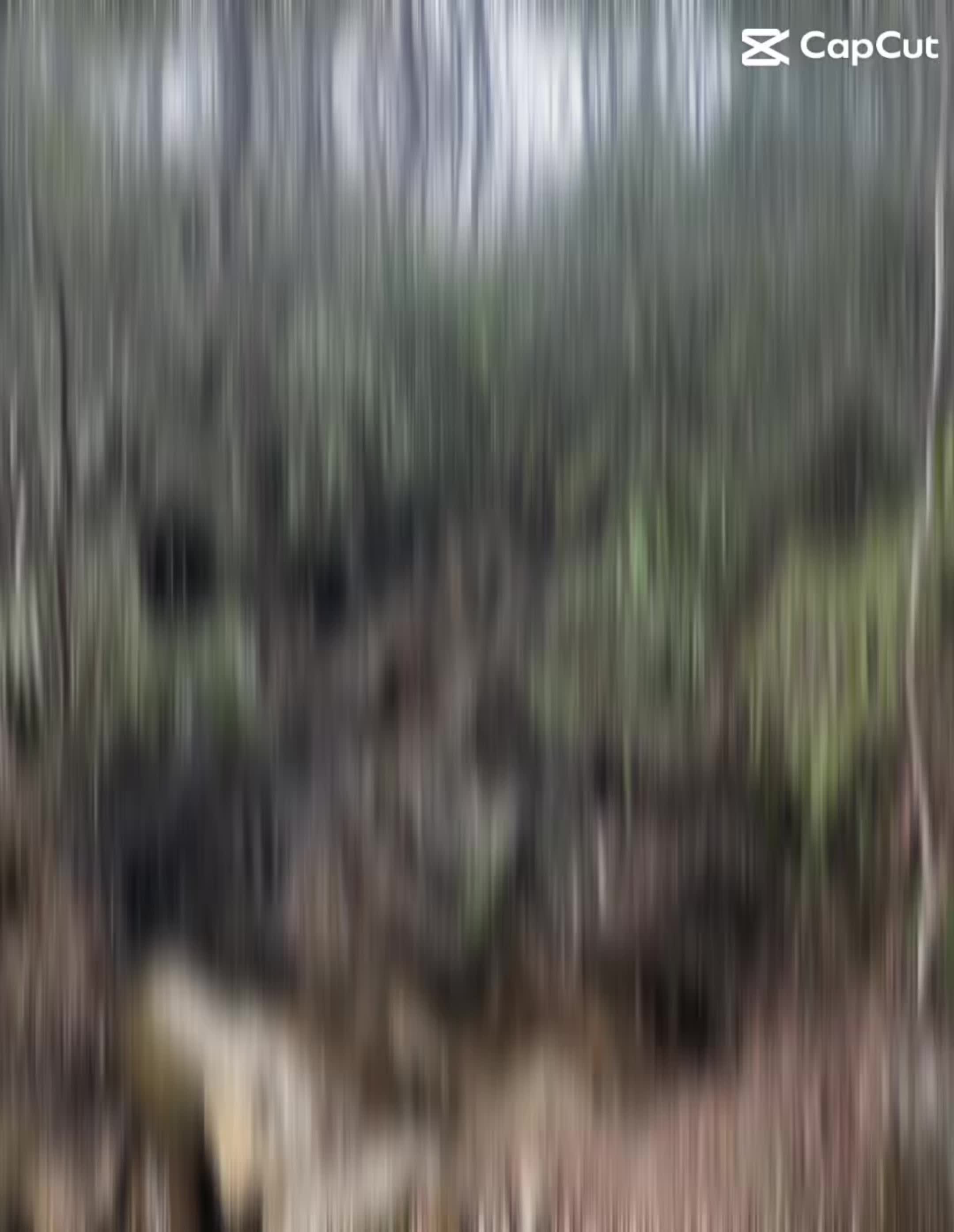 @GoldenDynaChik