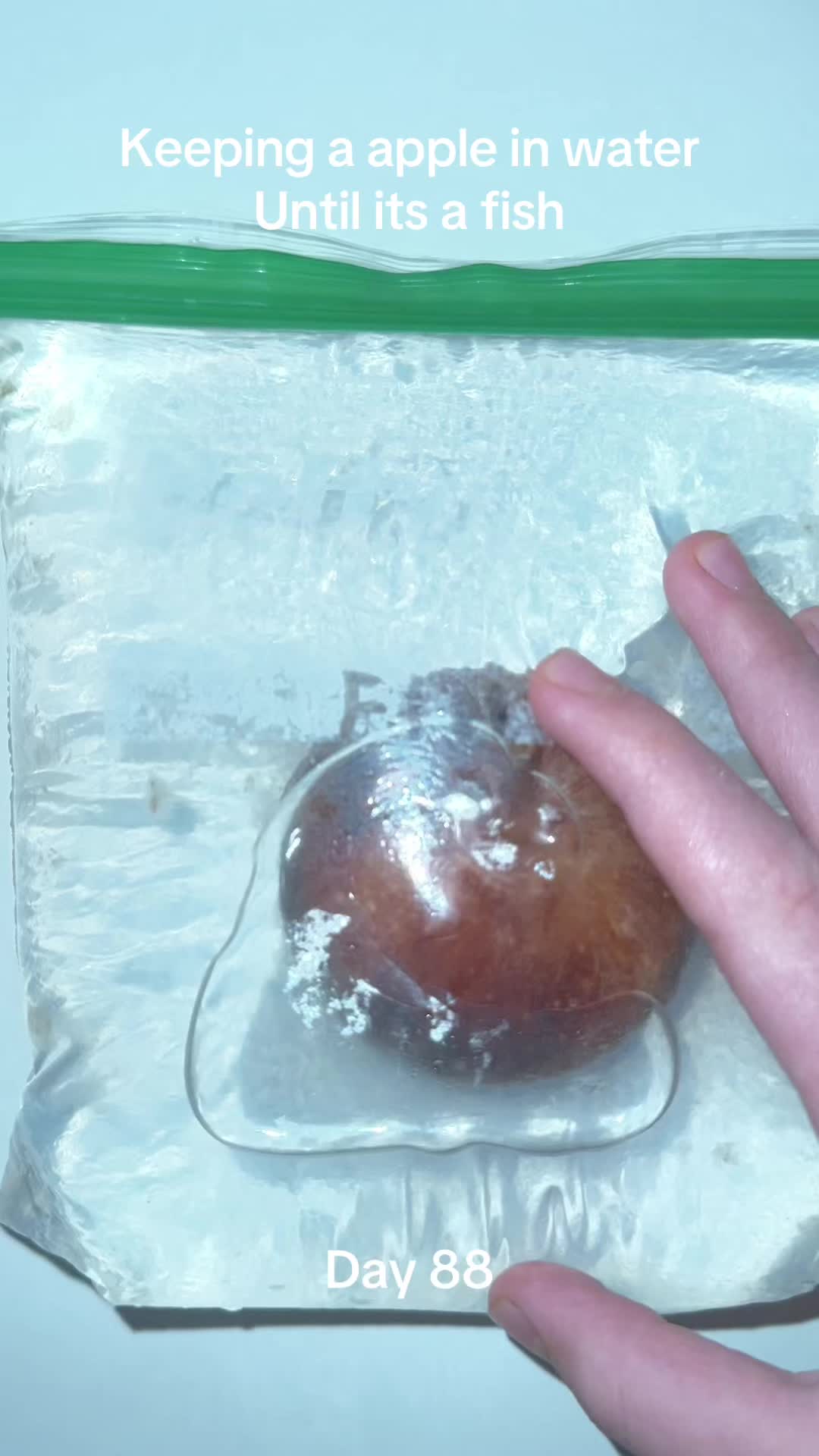@ve0ck