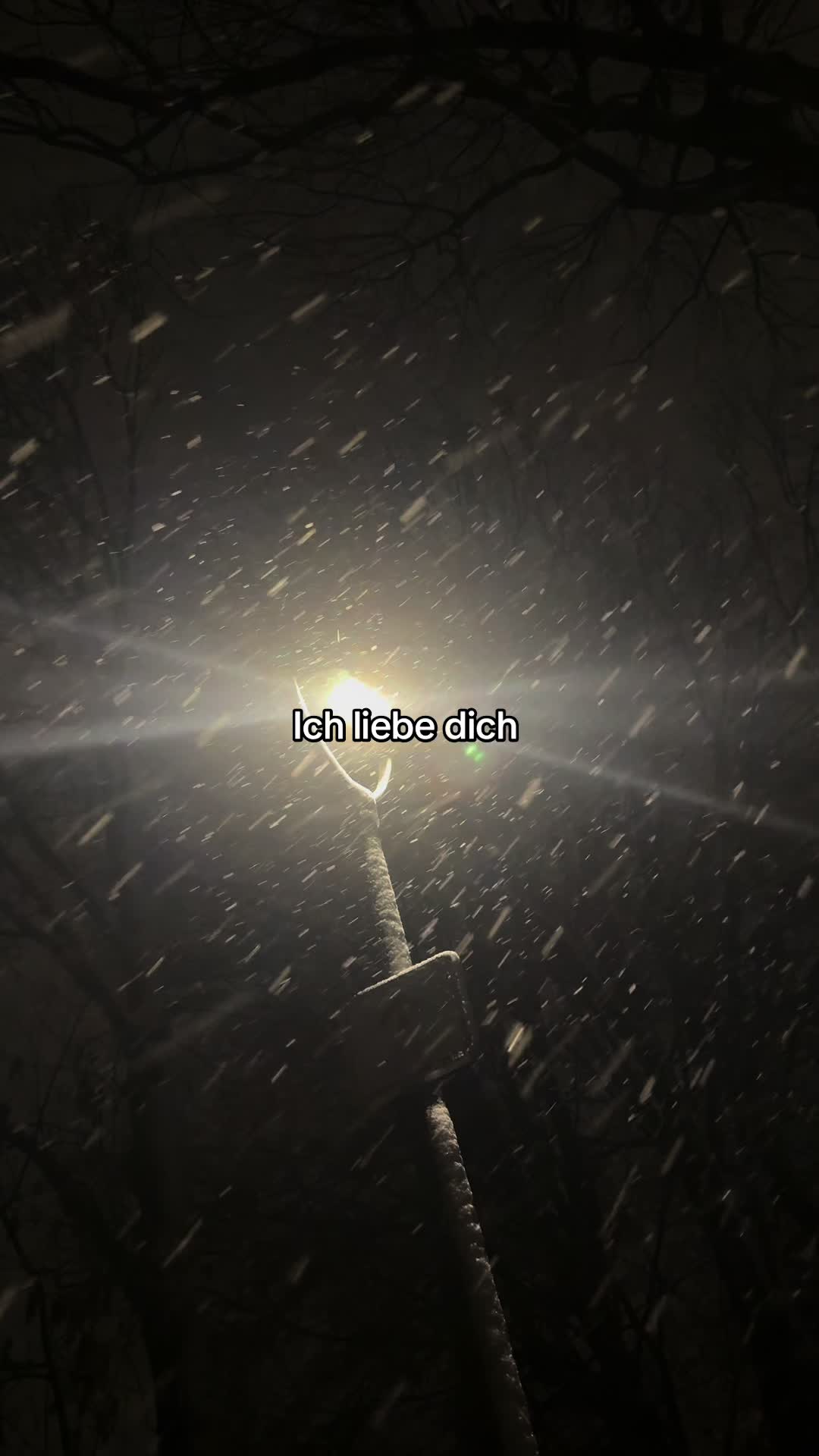 @︎ ︎