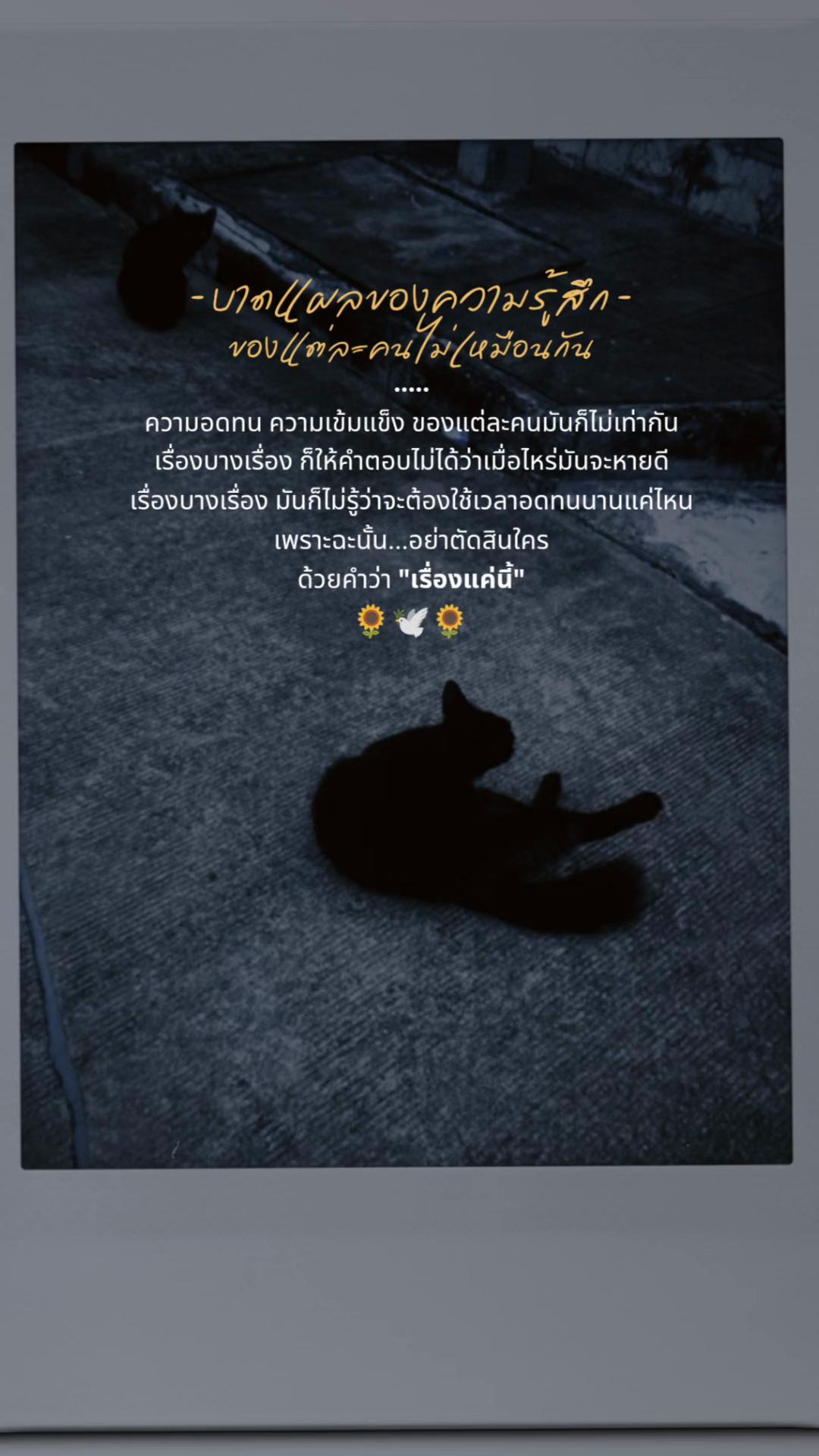 @StorytimeWithme