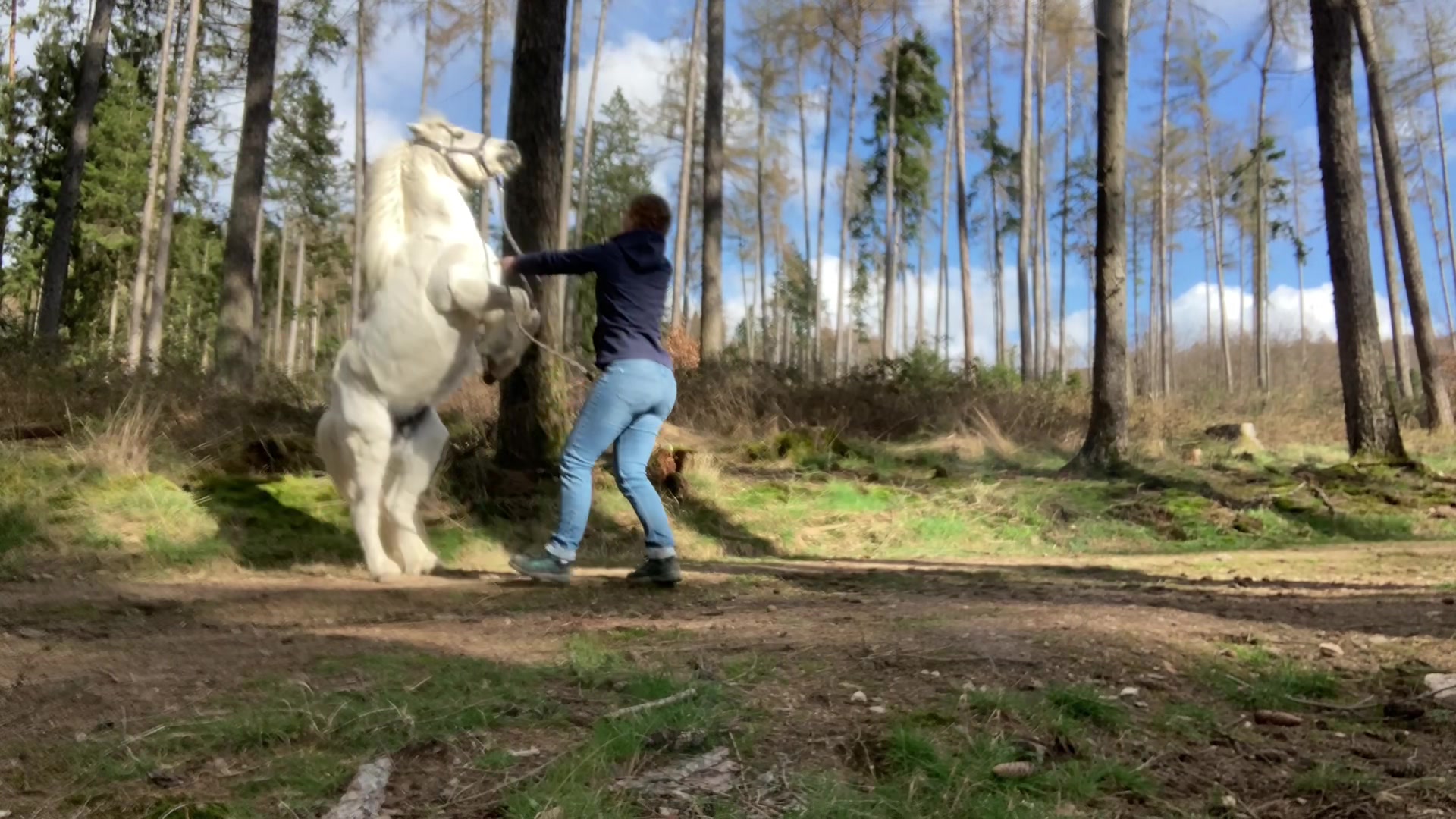 @Good Way Horses