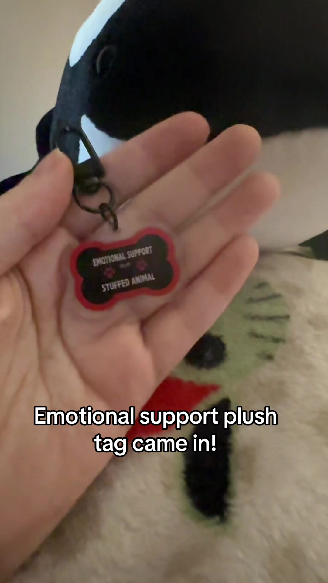 @Ellie (#1 Ineffa fan)