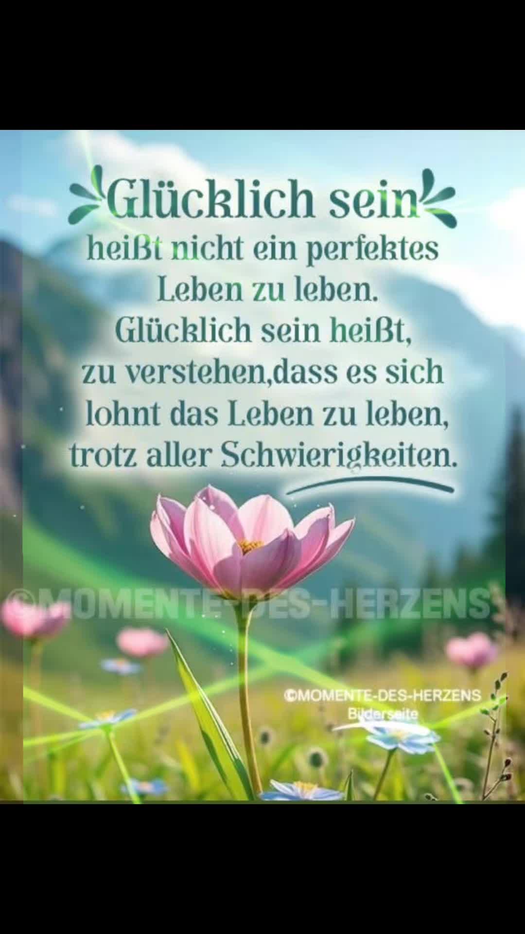 @stefangeilhausen3
