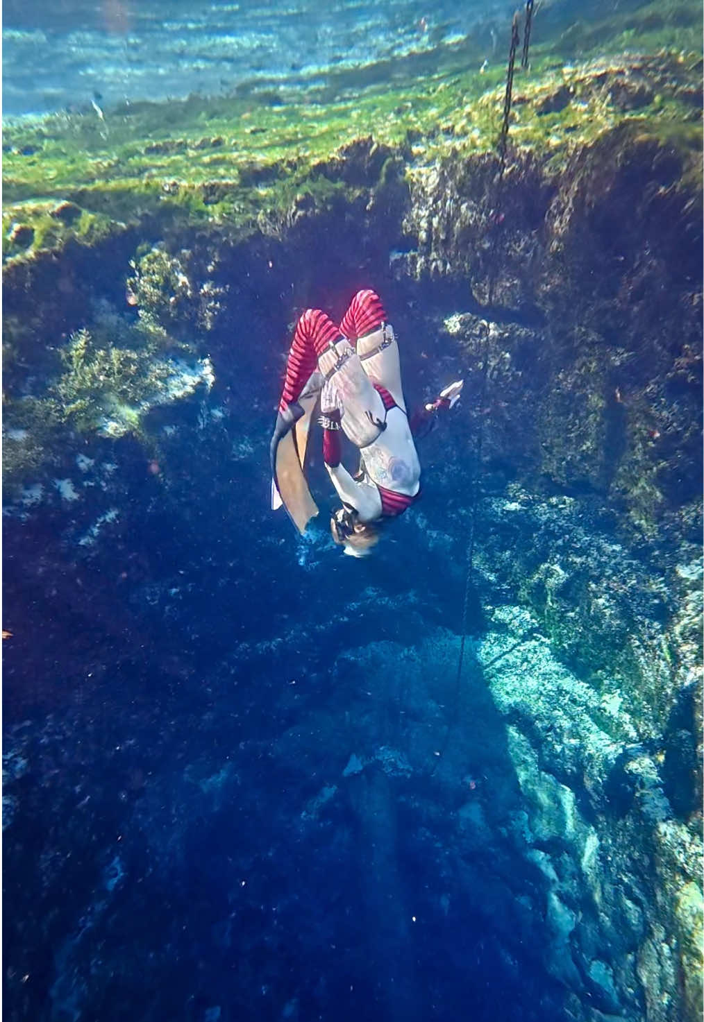 @Coralia Dives ๐งโ๏ธ