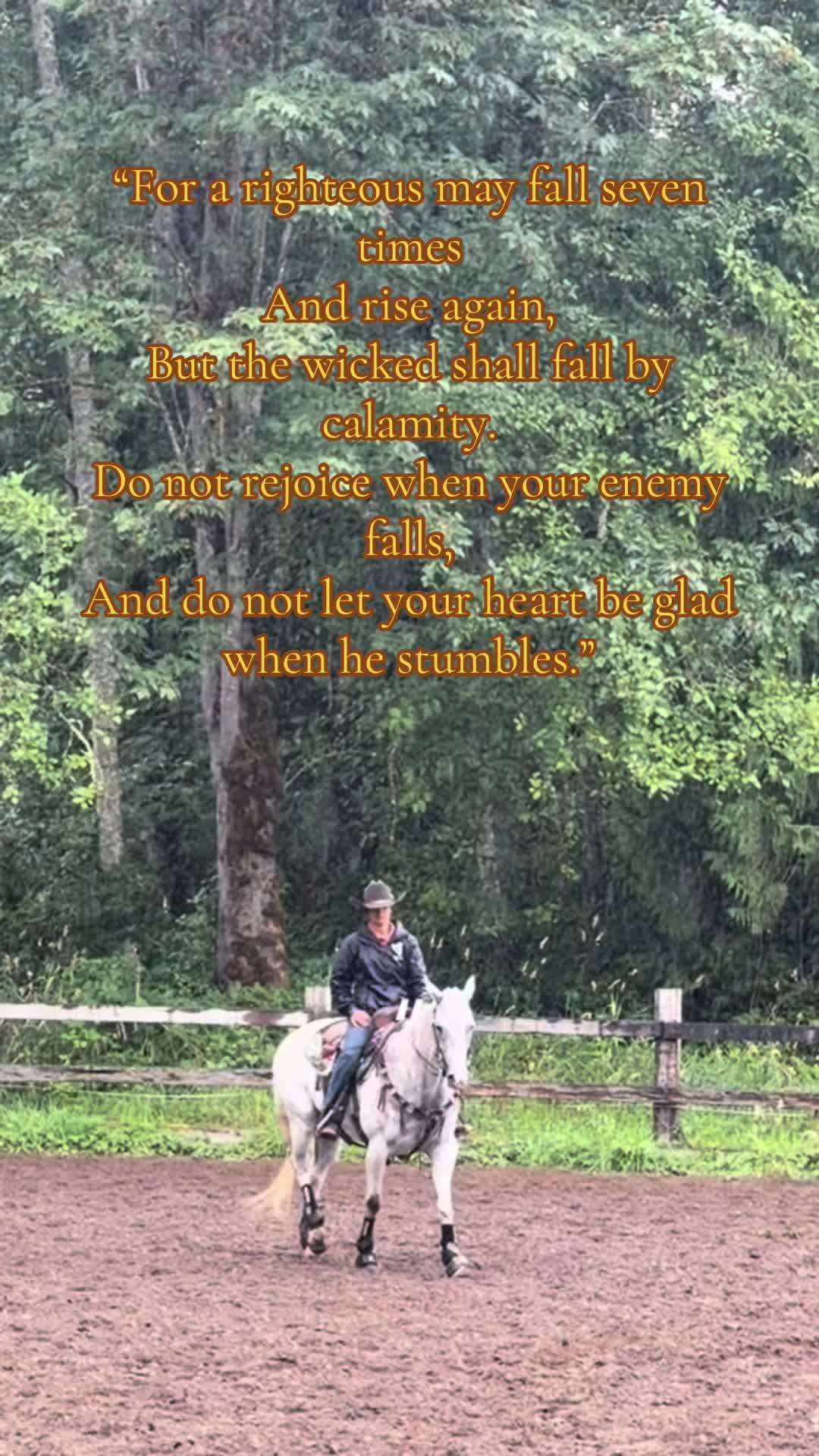 @TF Performance Horses