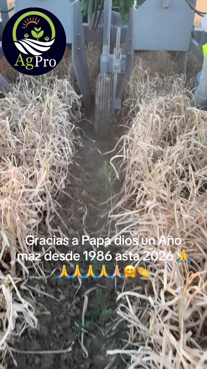 @Piedad Ayala
